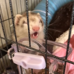 人も動物も健康第一☆