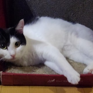 元気になったよ【おんど】