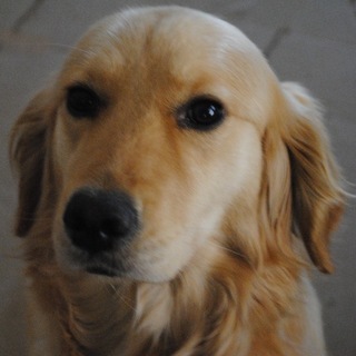 素敵な里親様に出逢えました＾＾