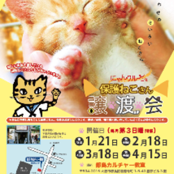 4月15日(日)第46回にゃんクルー譲渡会in大阪市都島区