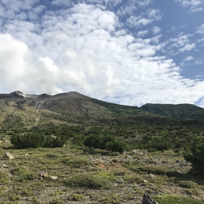 ゆうき155のカバー写真