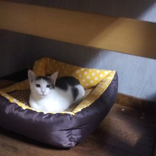 やっと姿を見せてくれた子