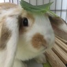  さん