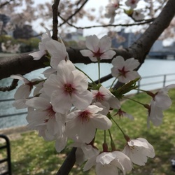 知ってほしい。癲癇の事。