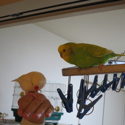 「大きいブランコ♪」サムネイル3