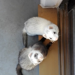 応募者多数のため一時応募をストップさせてください　