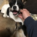 交渉中