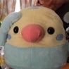 まったりさん さん