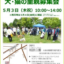 犬・猫の里親募集会【高槻ジャズストリート】