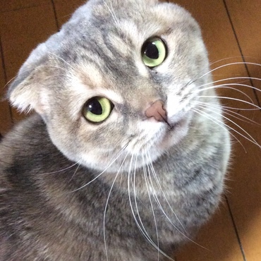 はじめまして(^_^)