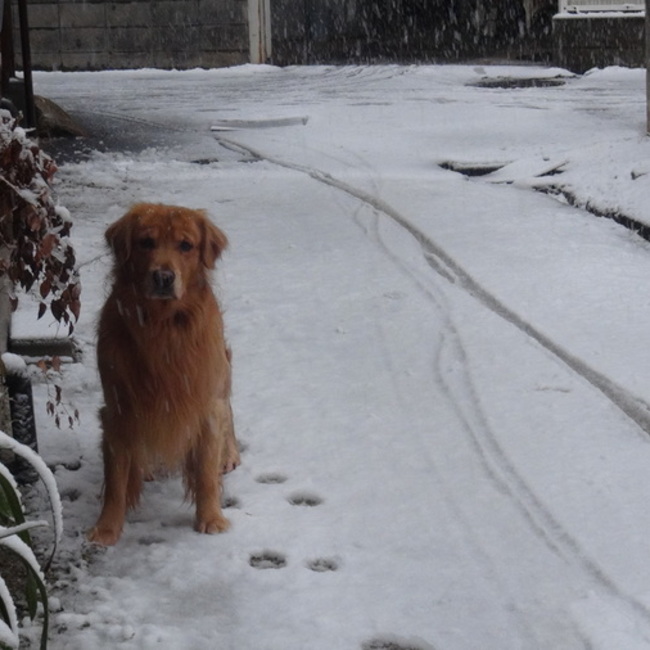 naoちんのカバー写真