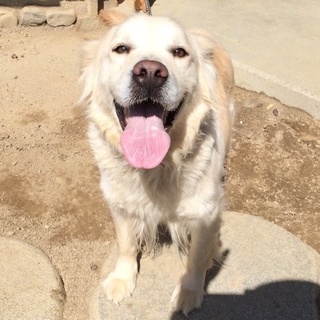 人懐こい"ゆりやん"ちゃん