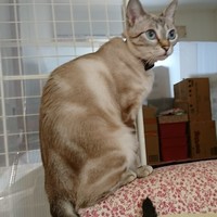 ミルク