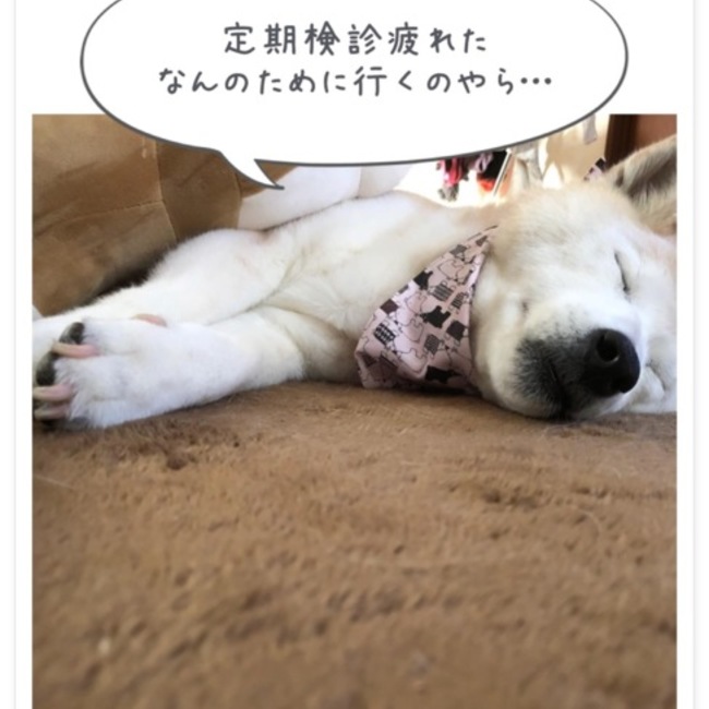 mahananaのカバー写真