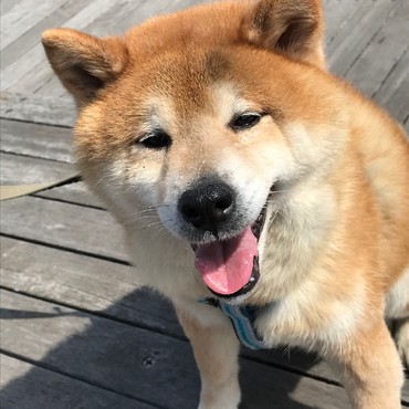 気分転換♪　チョコ☆かわゆいね～