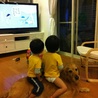 の写真