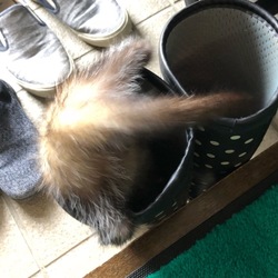 何が起きた？！