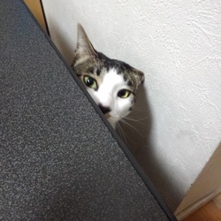 「4月近況」サムネイル3