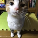 出遅れましたが幸せになります。