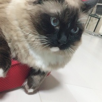 あらん