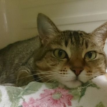 ゆきちゃんの写真