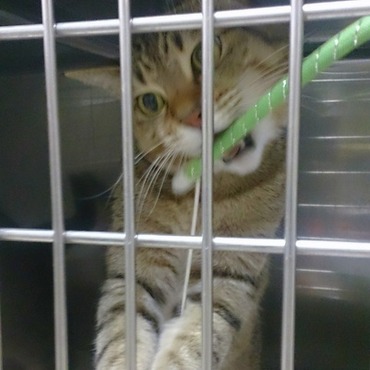 ゆきちゃんの写真