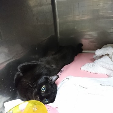 ひろこちゃんの写真