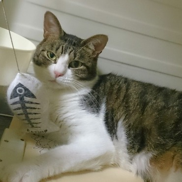 キュウくんの写真