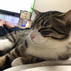 やっと膝に乗ってくれた