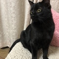 活発な末っ子タイプです