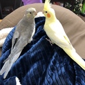 素敵な里親様を見つけることが出来ました！
