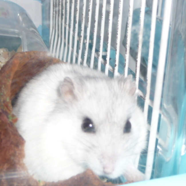 eyuuのカバー写真