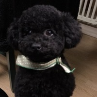 ライト