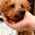 ご協力お願い致します。