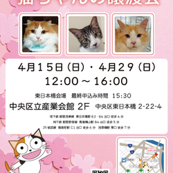 ねこざんまい譲渡会@東日本橋