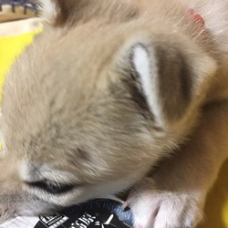 ショックです…