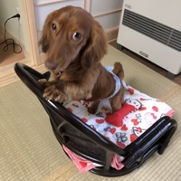 ジューン