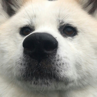 美海の家族になっていただけませんか？