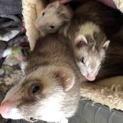 絶対出る。窮屈だよね？笑