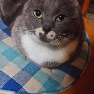 人が大好きな子