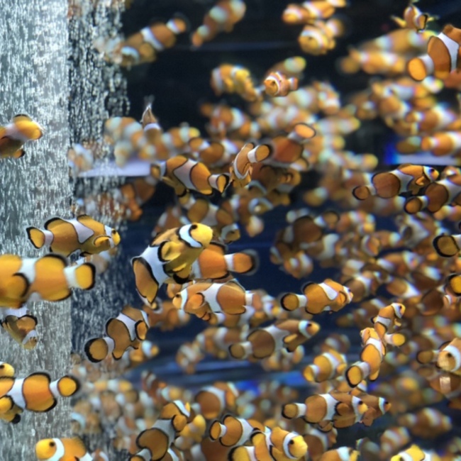 Chika0422のカバー写真