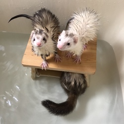 ☆★お風呂の日★☆