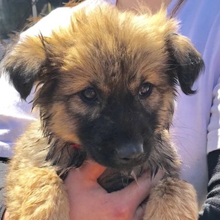 Ｉ♡１４９  里親さん募集です^_^