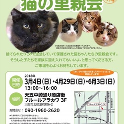 みやママ&ちか 猫の里親会