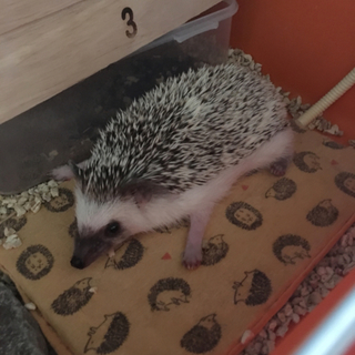 ご応募いただいた皆様ありがとうございました。