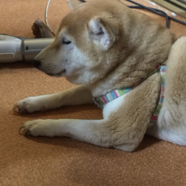 なぁーままのカバー写真