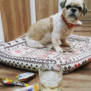 トライアル中のため一時募集停止。