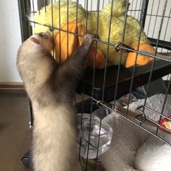 よく出来ました！