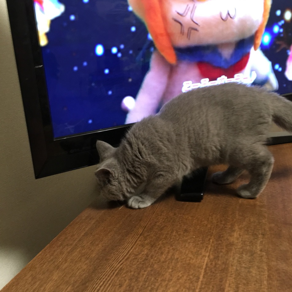 姫のカバー写真