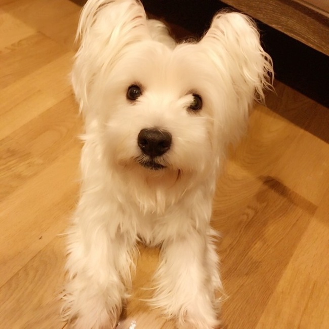 ゆう9999のカバー写真